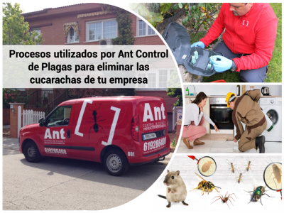 Procesos utilizados por Ant Control de Plagas 