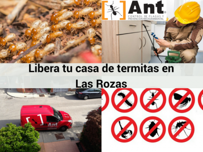 Contra Ant Control de Plagas en Las Rozas