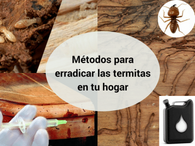 Métodos alternativos para erradicar las termitas