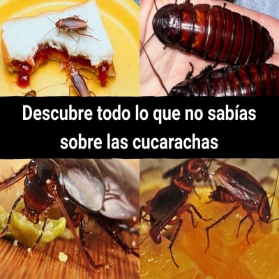 bloggif_5ba0112a1b253