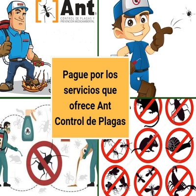 bloggif_5ba0114d0a476