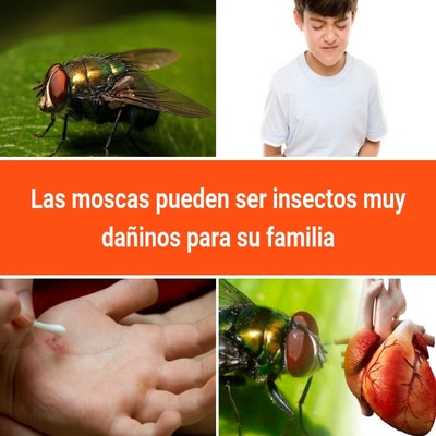 bloggif_5ba01169af802