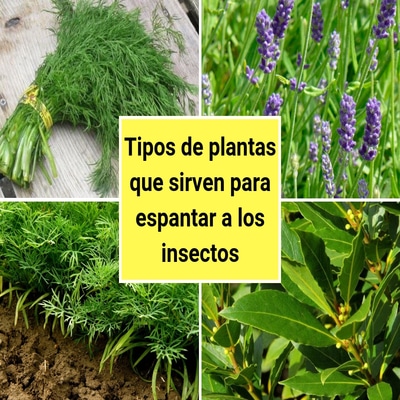 bloggif_5ba019e73e923