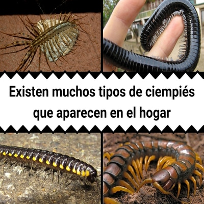 bloggif_5ba01a18df3ac