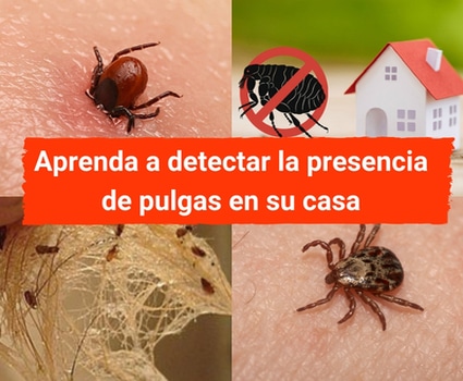 bloggif_5bacc0526d905