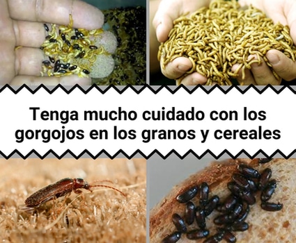 bloggif_5bacc06249b17