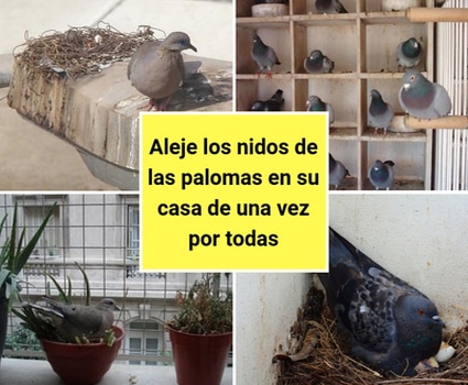 bloggif_5bacc06e64454