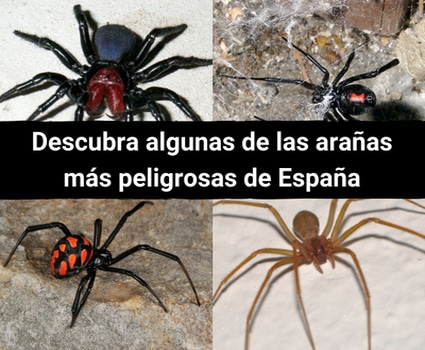 bloggif_5bacc0786a45b