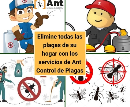 bloggif_5bacf6d455624