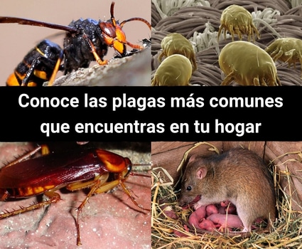 bloggif_5bc0cec284076