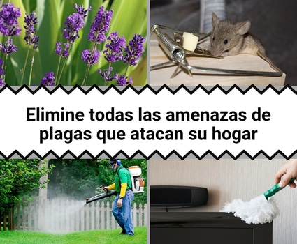 bloggif_5bc0ced54c32f