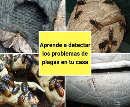 bloggif_5bc0cefde5bb1