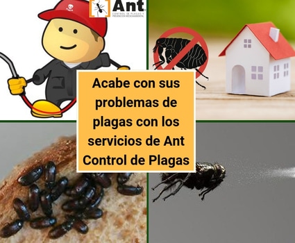 bloggif_5bc0de7a13163