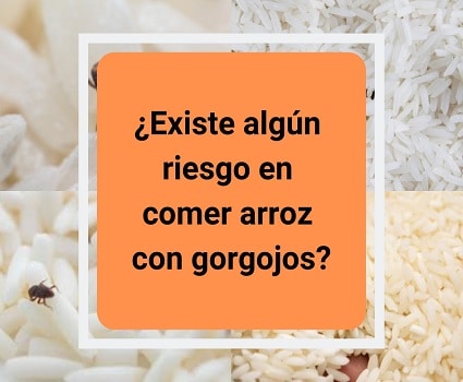 ¿Existe algún riesgo en comer arroz con gorgojos?