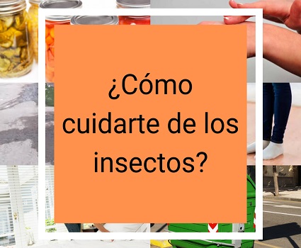 ¿Cómo cuidarte de los insectos?